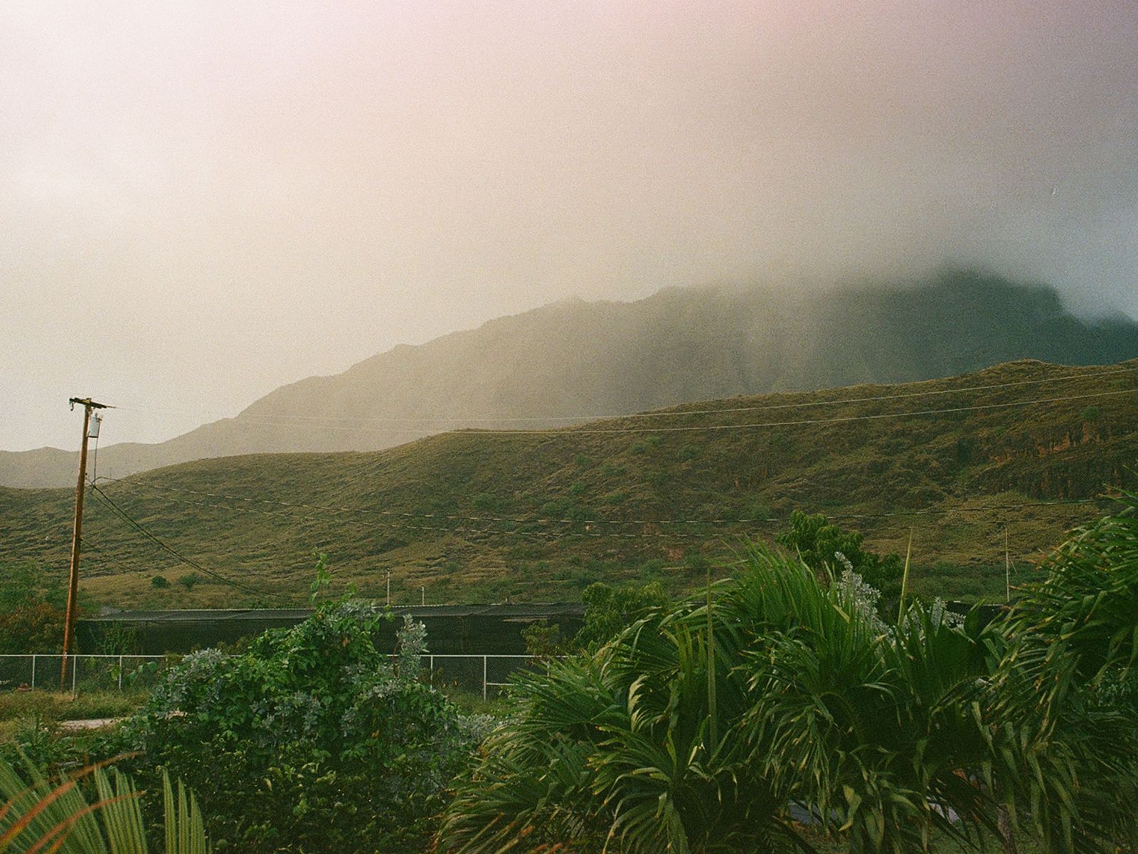 Finding My Roots in Hawai'i’s Soil, Sea, and a Sweet Potato Salad